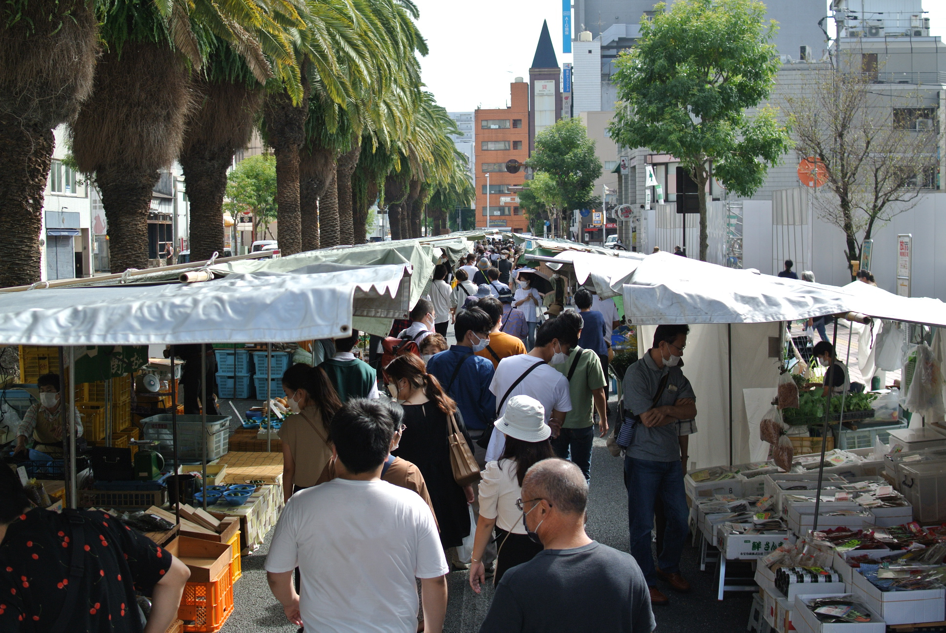 日曜市／Sunday Market